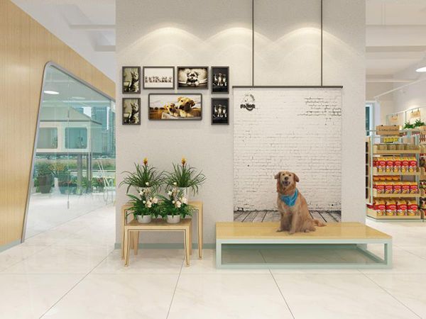 合肥寵物店裝修攻略，寵物店裝修應該注意什么