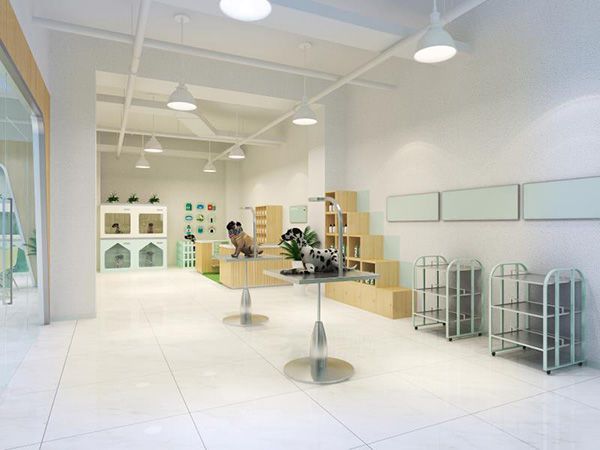 合肥寵物店裝修風格有哪幾種應該如何裝修怎么劃分功能區