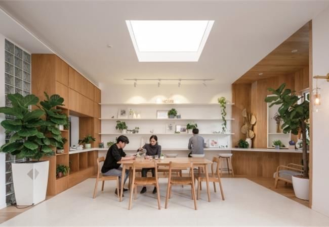 兩種新型環保吊頂材料